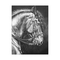 Black & White Horse Portrait Canvas — Matte Stretched Wall Art
