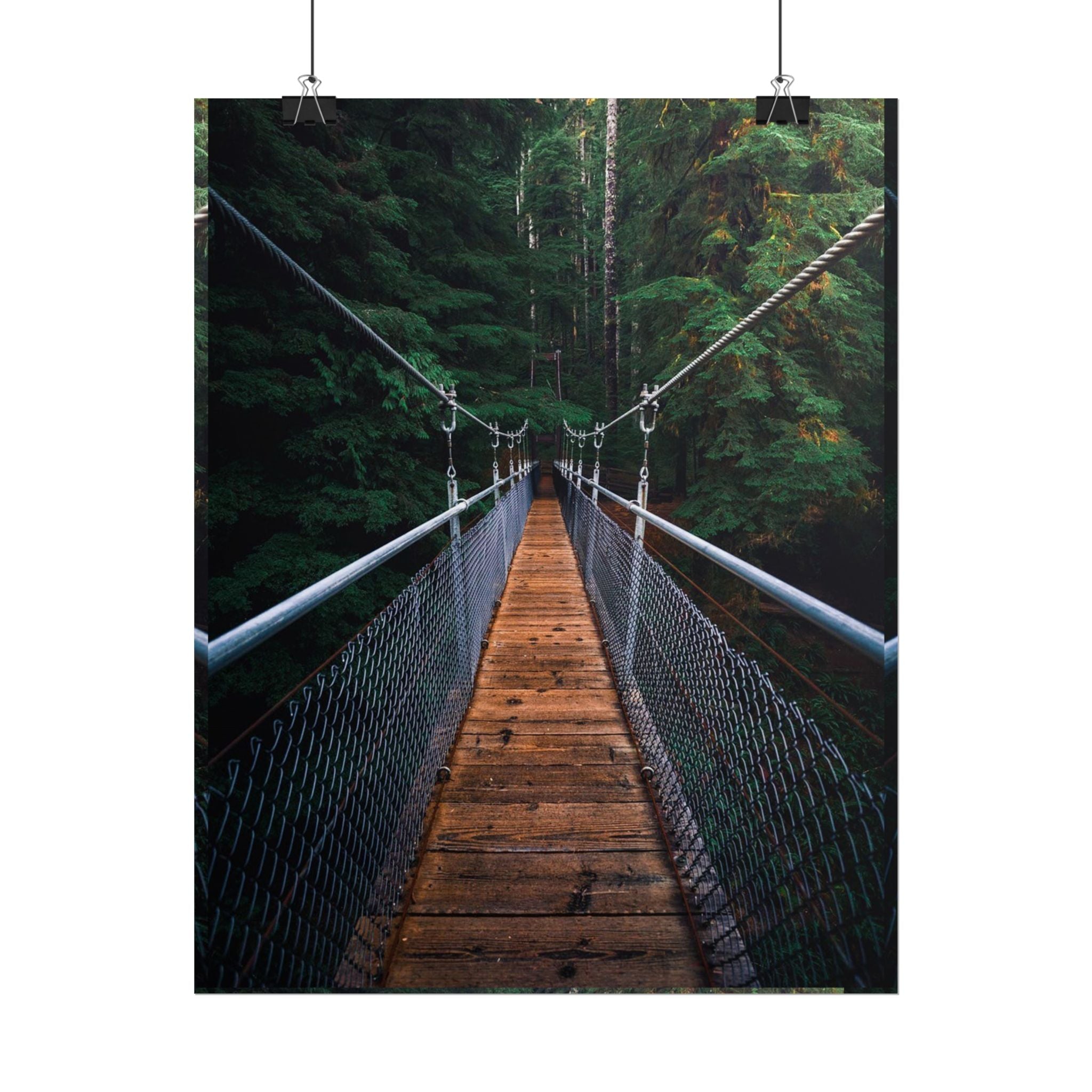 Forest Suspension Bridge Poster — Rolled Wall Art 