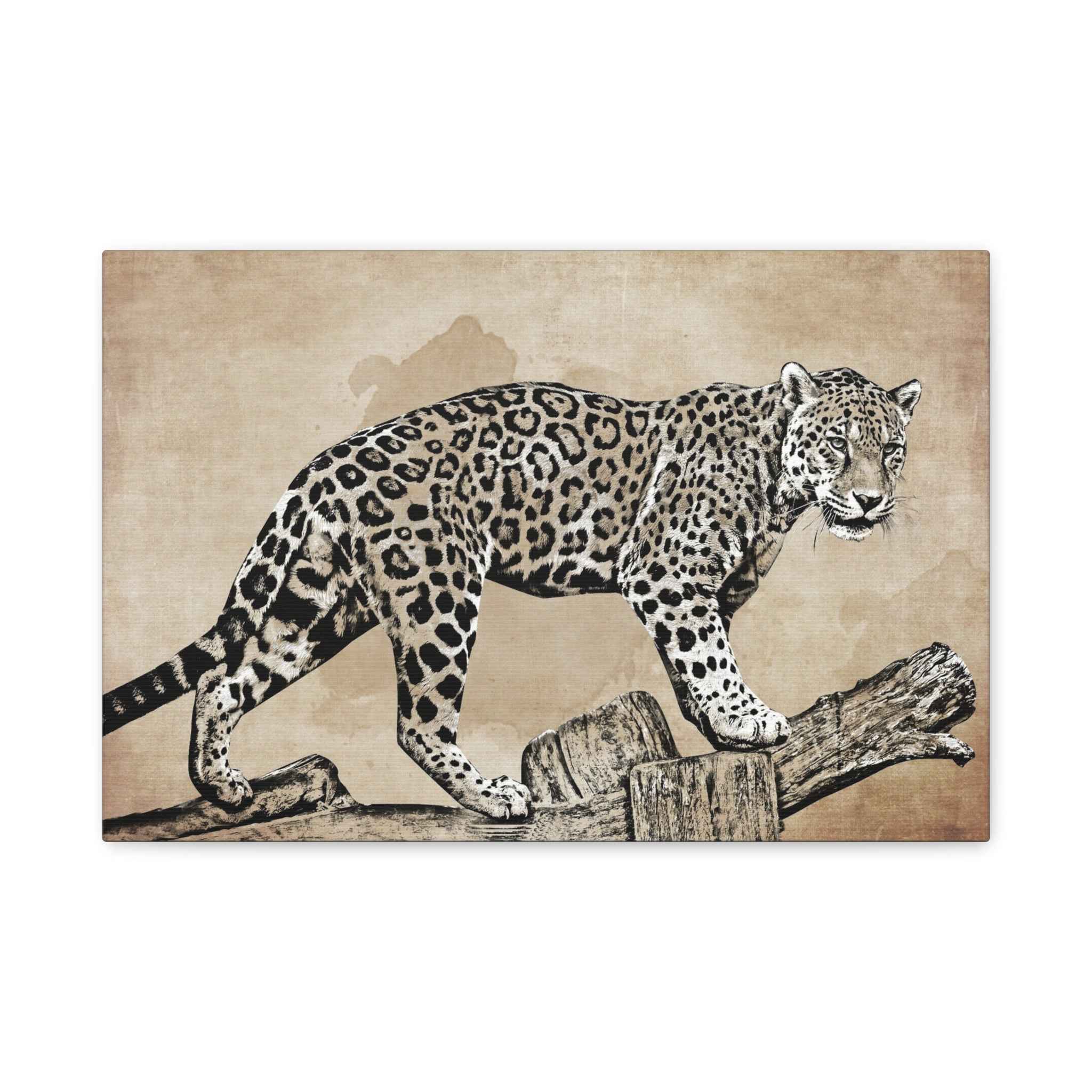 Leopard Canvas Wall Art – Safari Wildlife Animal Wall Decor