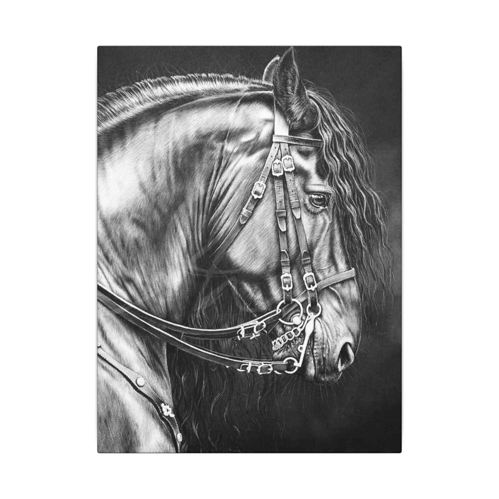 Black and White Horse Portrait Canvas - Matte Stretched Wall Decor - TheKaraHan