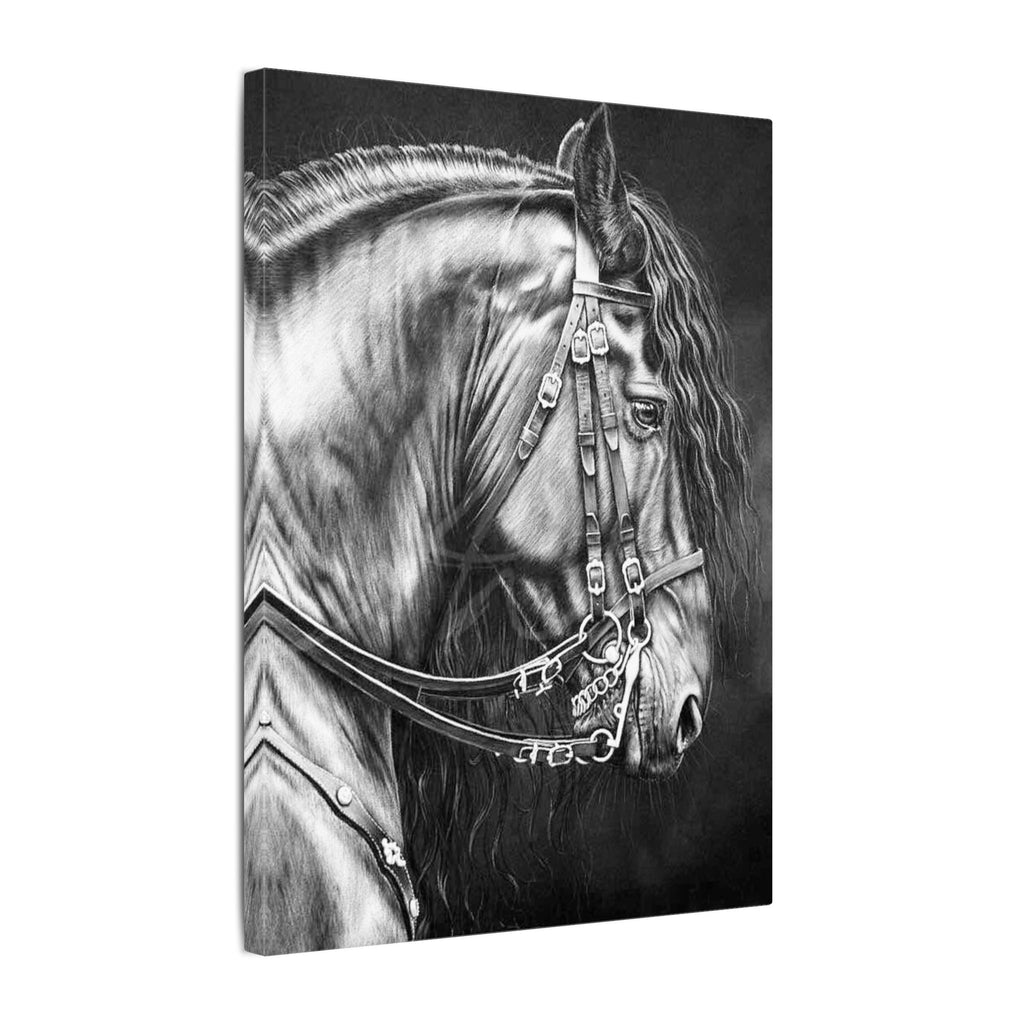 Black & White Horse Portrait Canvas — Matte Stretched Wall Art