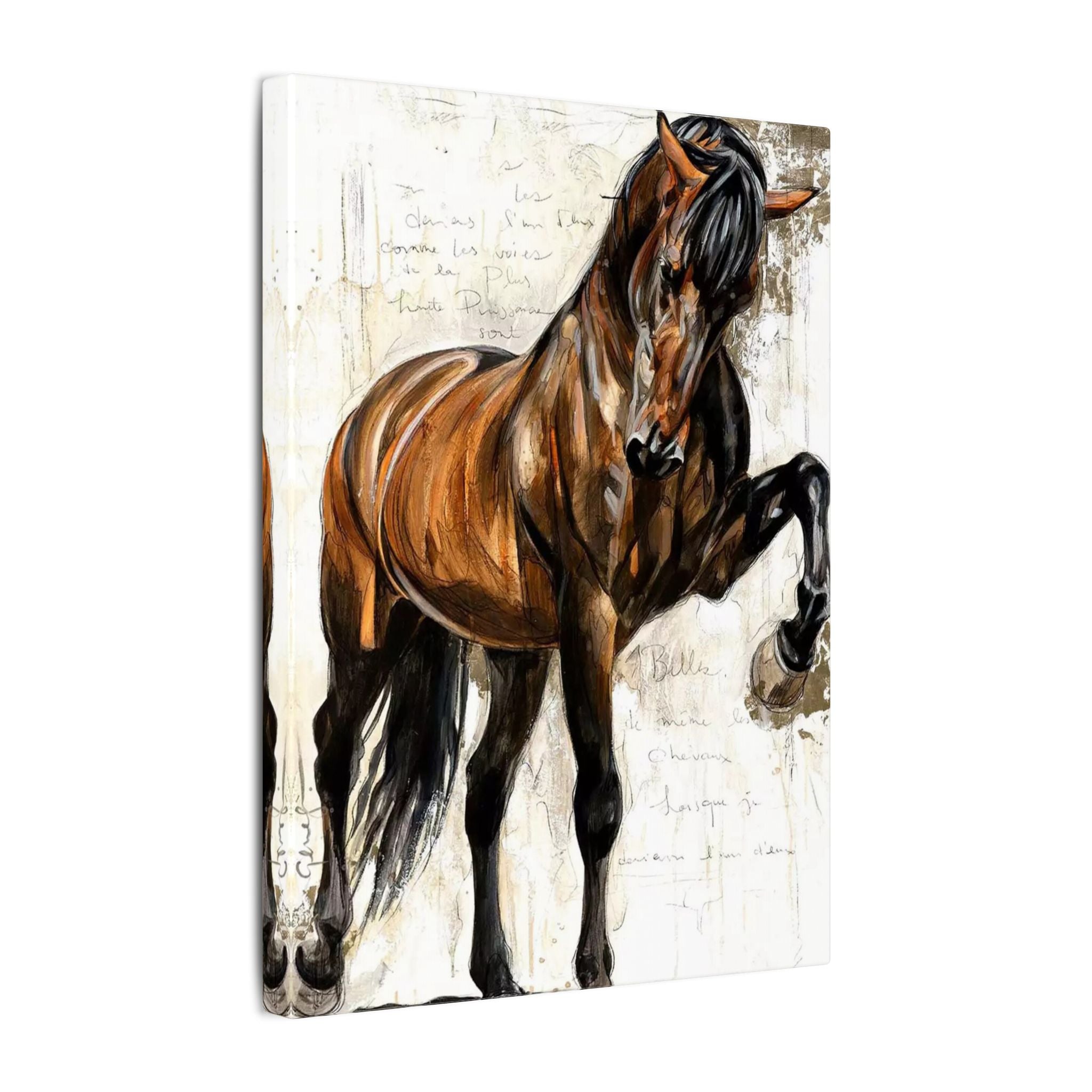 Horse Canvas Wall Art — Brown Stallion Matte Stretched Canvas 