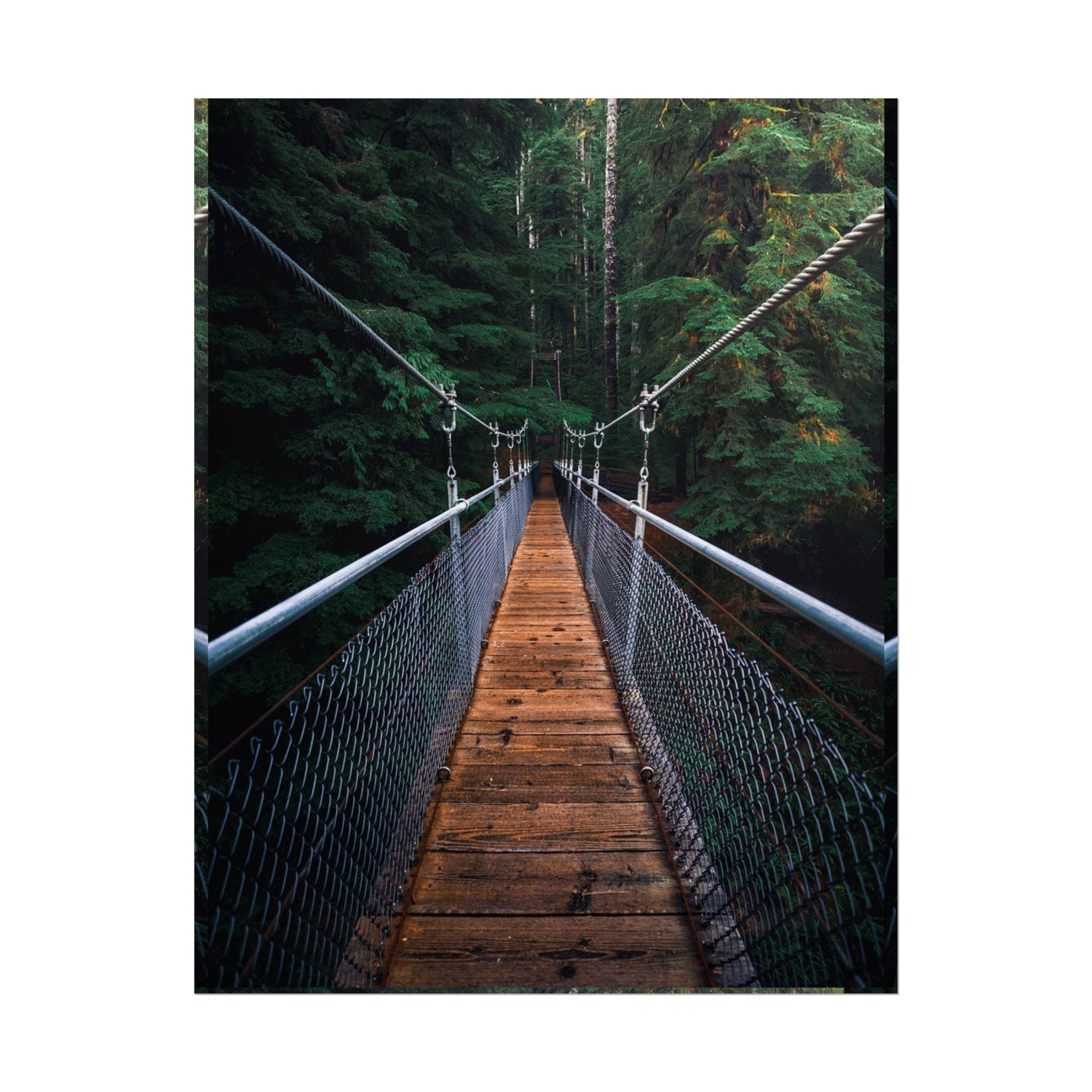 Forest Suspension Bridge Poster — Rolled Wall Art 