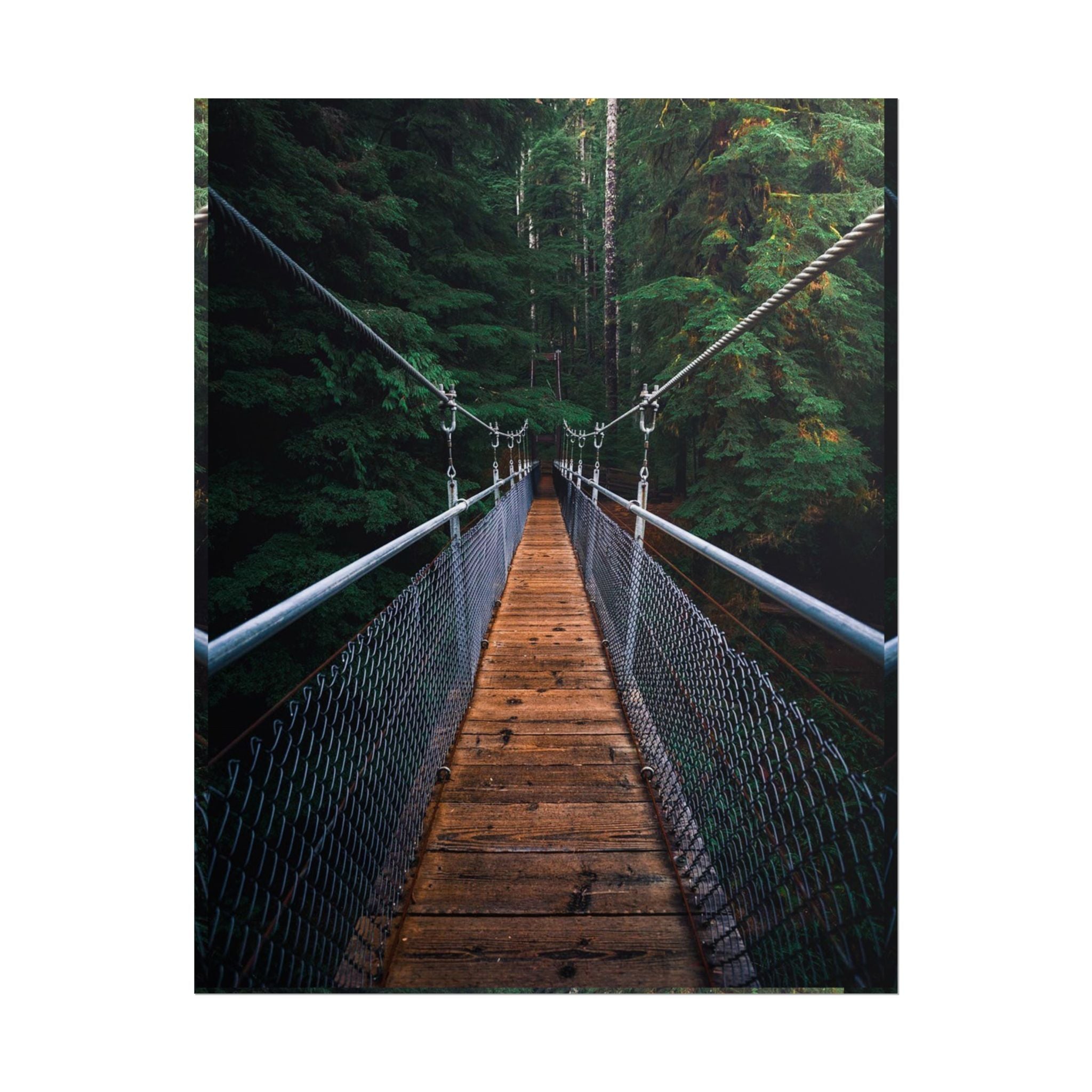 Forest Suspension Bridge Poster — Rolled Wall Art 
