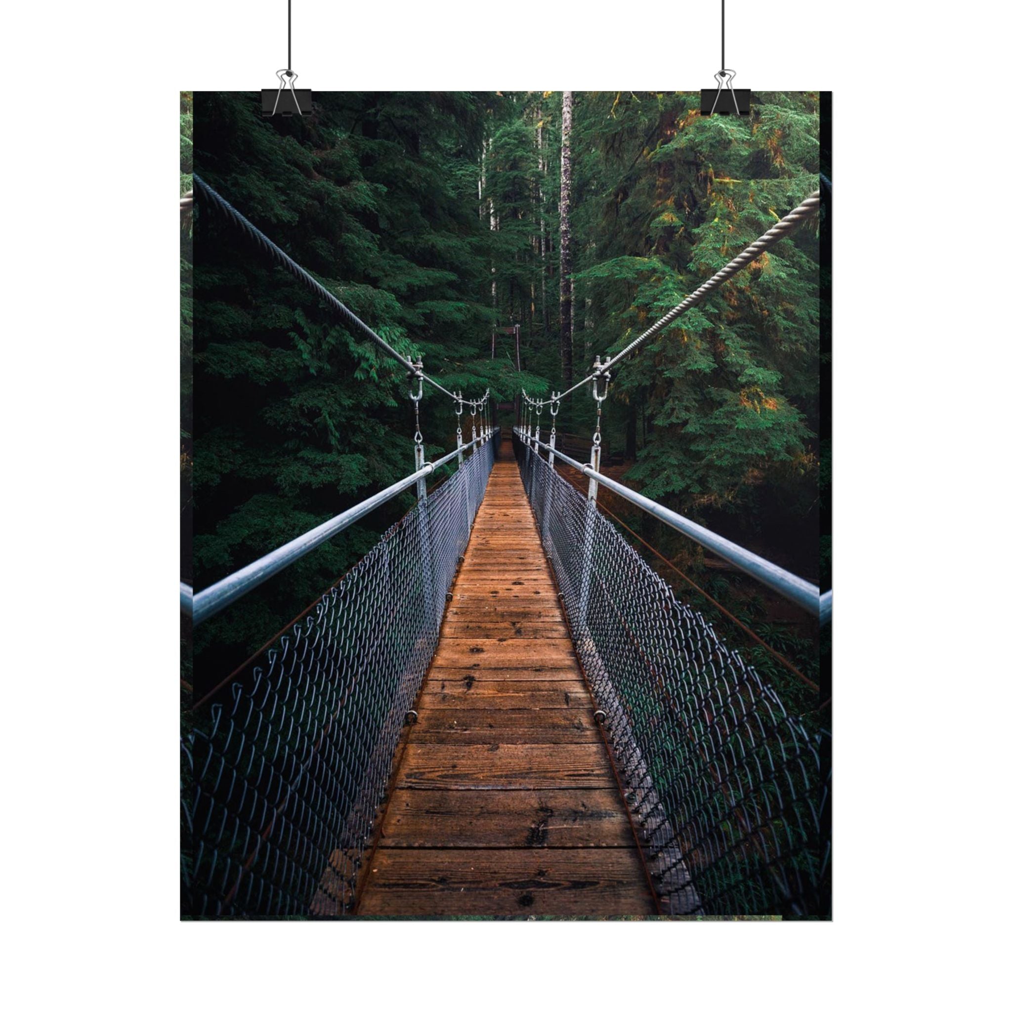 Forest Suspension Bridge Poster — Rolled Wall Art 