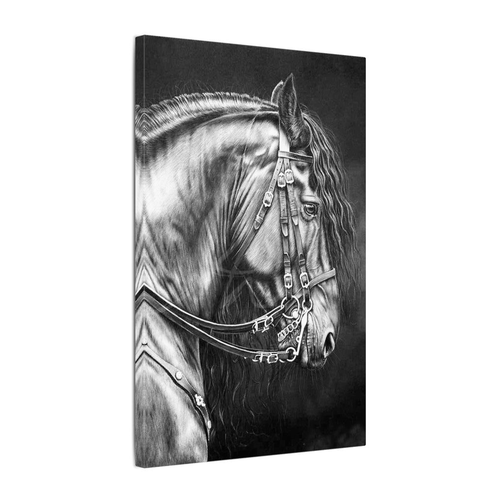 Black & White Horse Portrait Canvas — Matte Stretched Wall Art