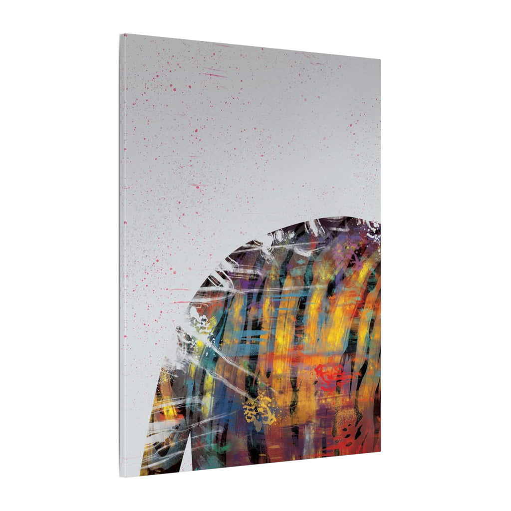 Abstract Colorful Jacket Canvas — Modern Street Art Matte Wall Art 