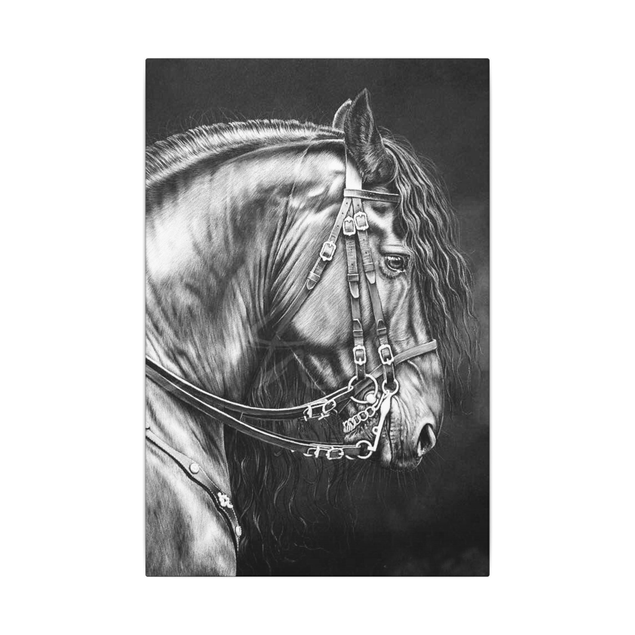 Black & White Horse Portrait Canvas — Matte Stretched Wall Art 