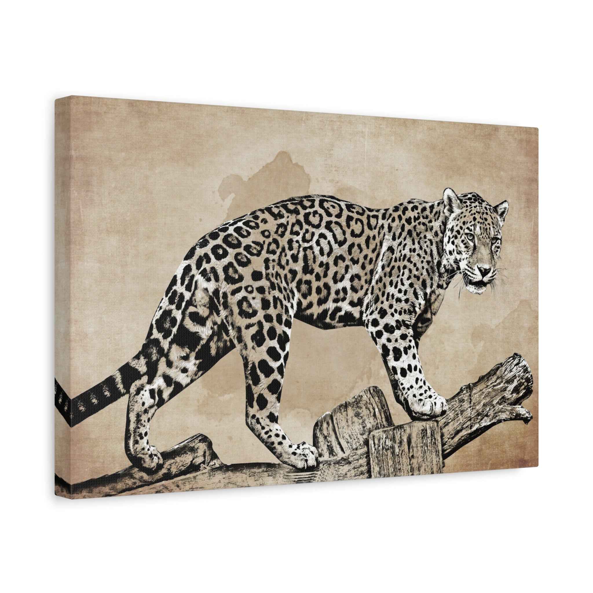 Leopard Canvas Wall Art – Safari Wildlife Animal Wall Decor