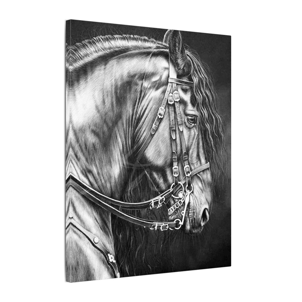Black & White Horse Portrait Canvas — Matte Stretched Wall Art
