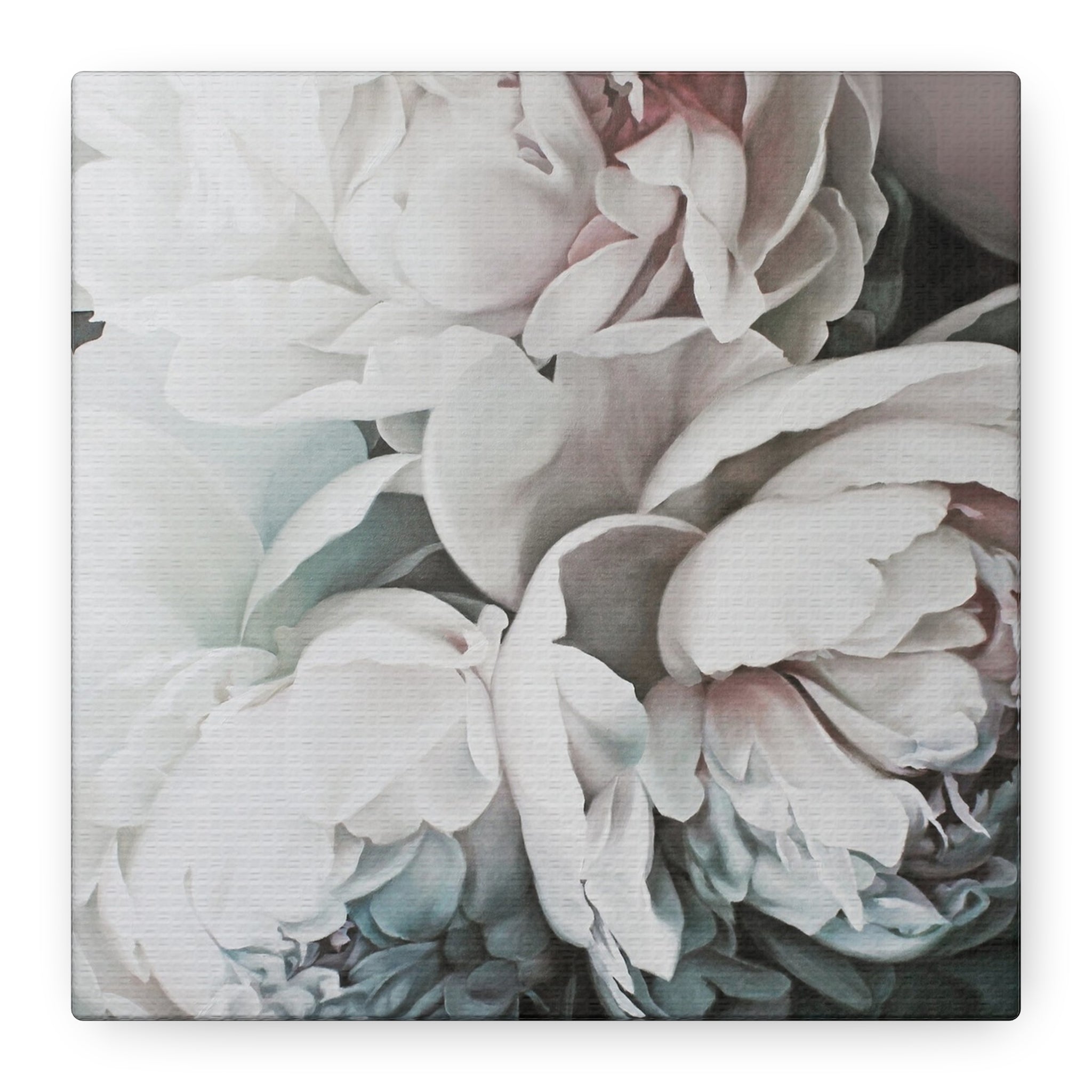 Soft Peony Blooms Canvas Wall Art — Matte Stretched 1.25" 