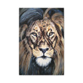 Lion Portrait Matte Canvas Wall Art — Stretched 1.25" 