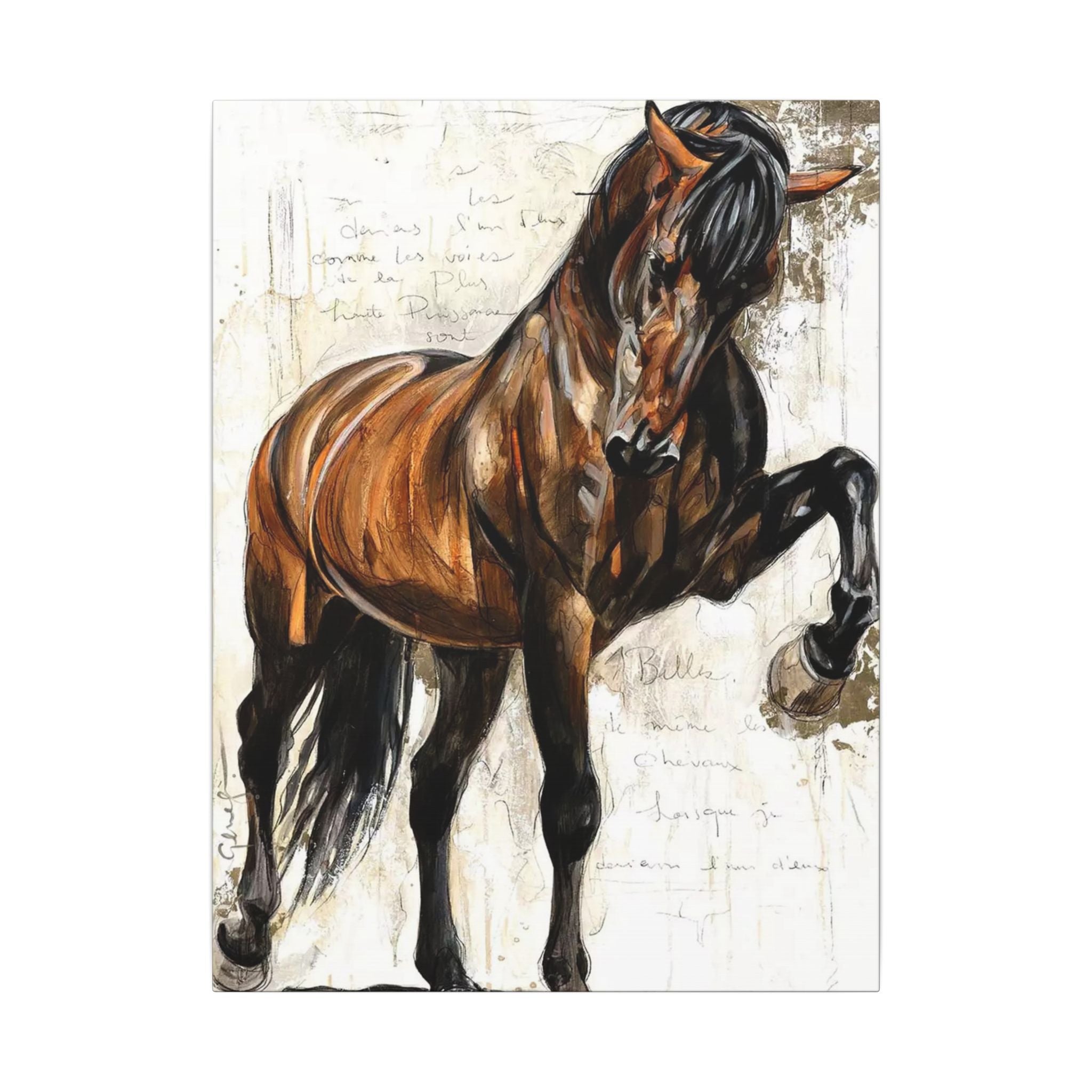 Horse Canvas Wall Art — Brown Stallion Matte Stretched Canvas 
