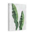 Banana Leaf Botanical Canvas Wall Art - Matte Stretched 1.25"