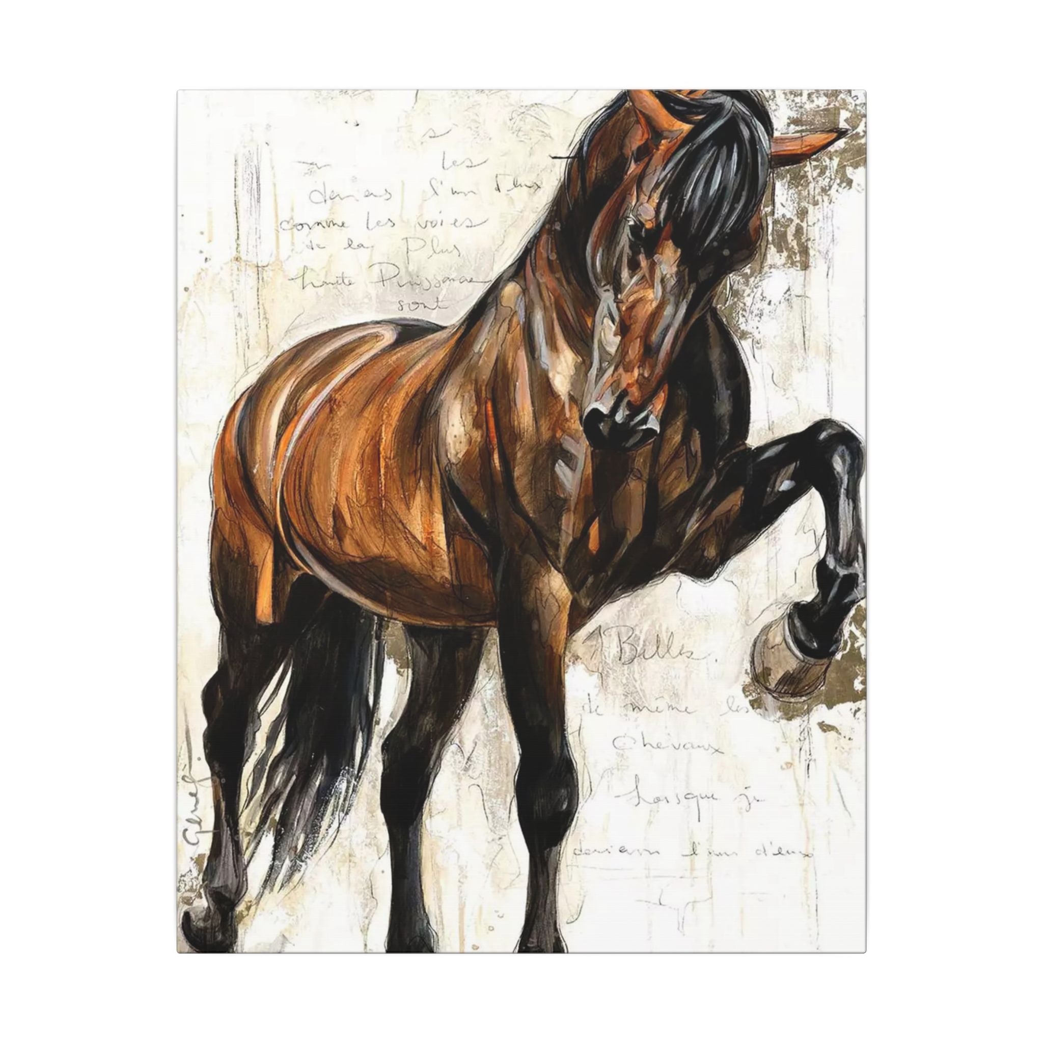 Horse Canvas Wall Art — Brown Stallion Matte Stretched Canvas 