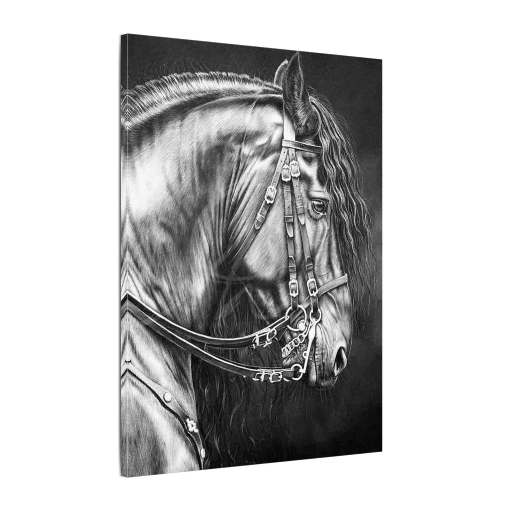 Black & White Horse Portrait Canvas — Matte Stretched Wall Art