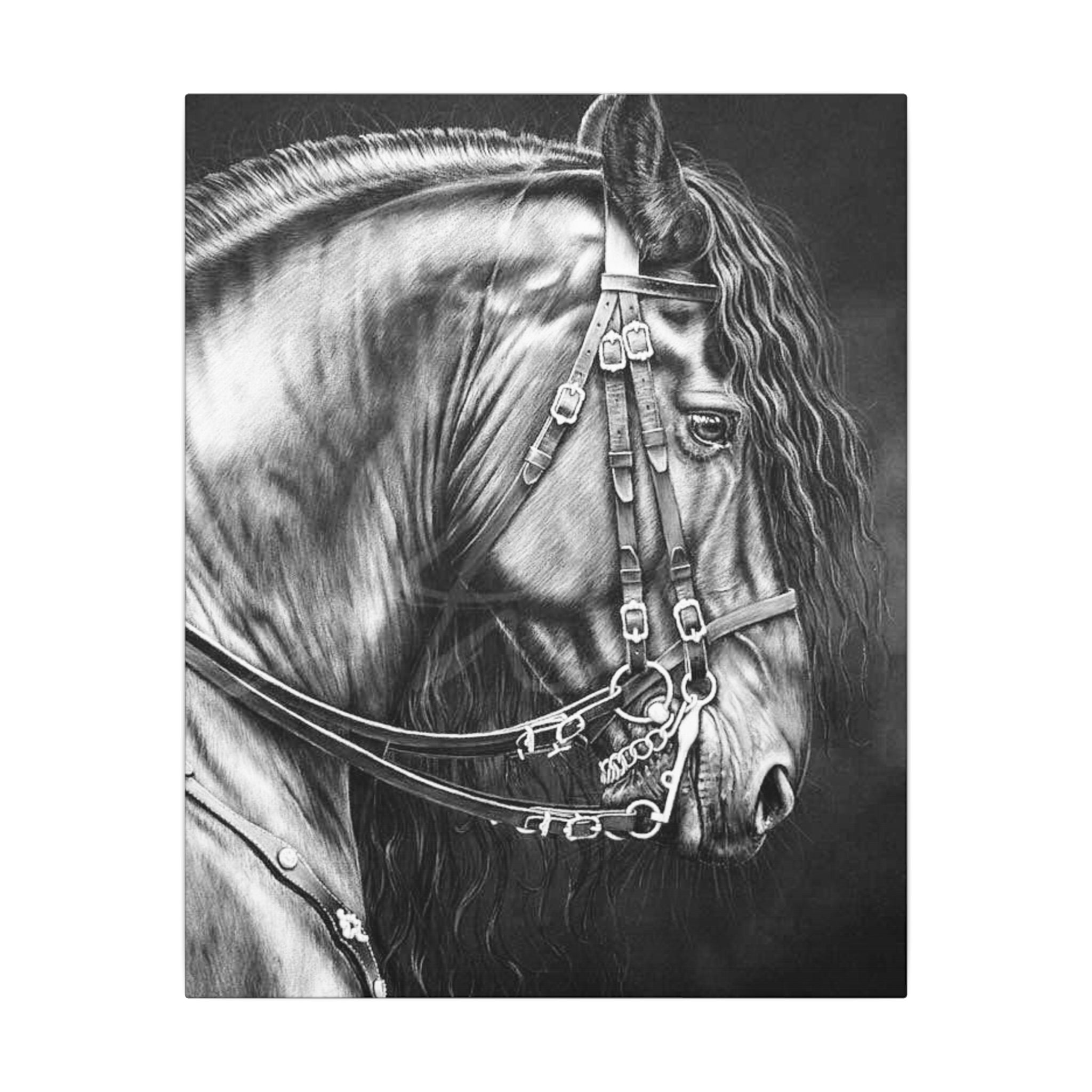 Black & White Horse Portrait Canvas — Matte Stretched Wall Art 
