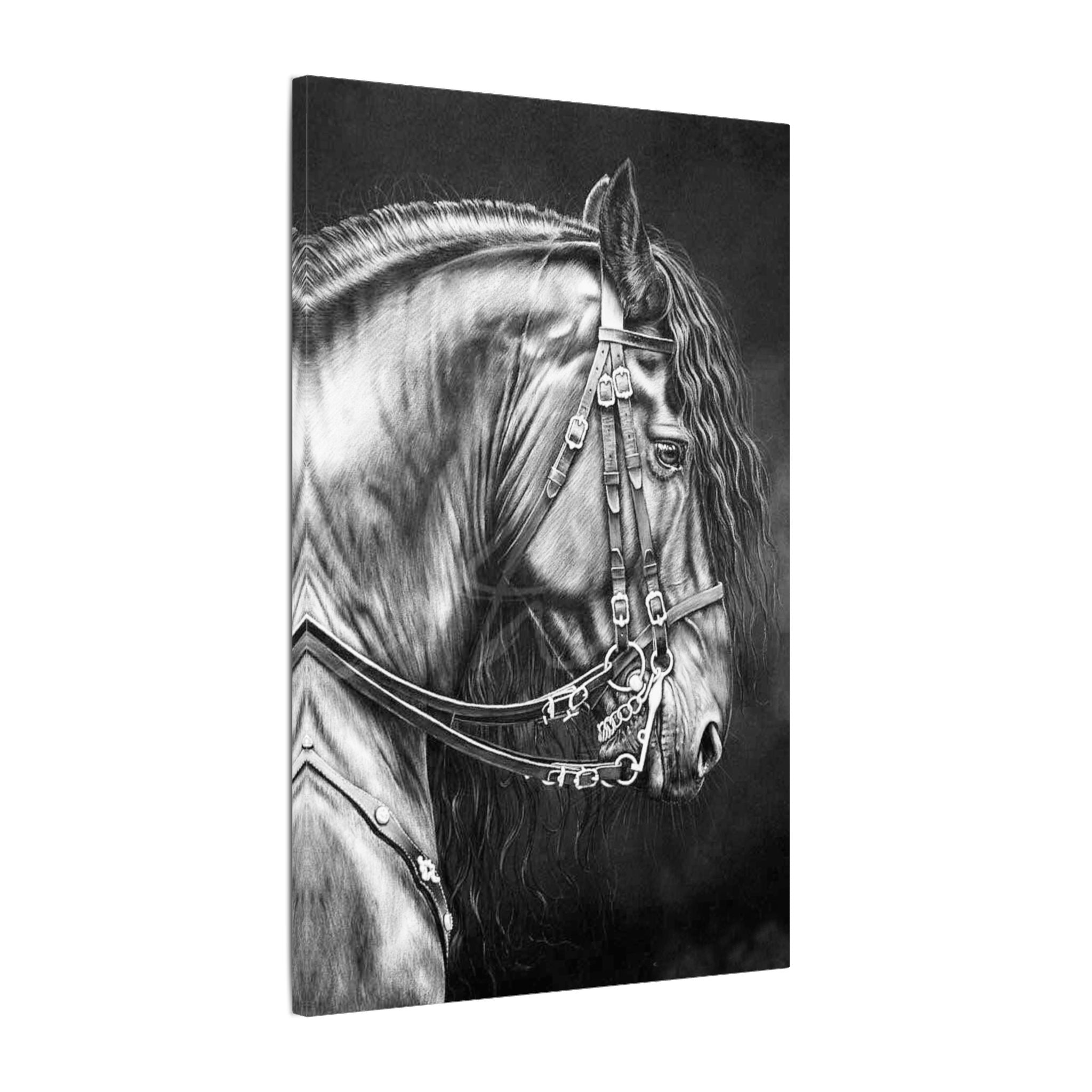 Black & White Horse Portrait Canvas — Matte Stretched Wall Art